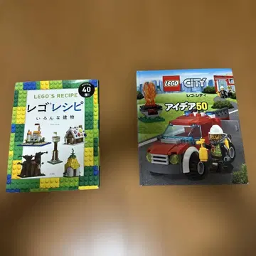 LEGO 도서 2권 세트