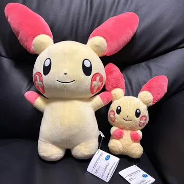 포켓몬 플러스 봉제 인형 프라이스