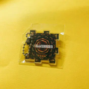 ELLEGARDEN 키링 진미래제