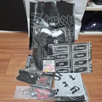 스키즈 dominATE 업그레이드 굿즈 혜택 stray kids