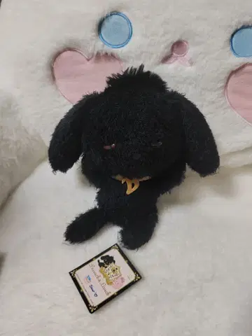 초레어 산리오 x 왕 브런치군