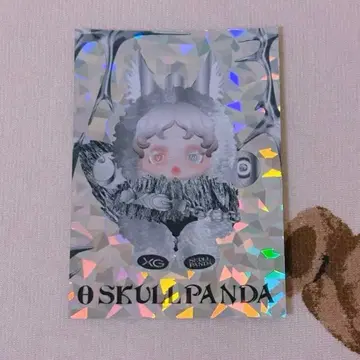 SKULLPANDA XG 콜라보 트레이딩 카드