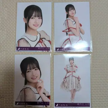 세토구치 신게츠 봉입 브로마이드 컴프 비리야니