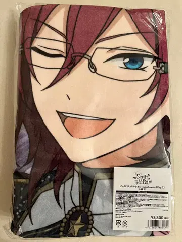 앙스타 스타포니 빅 비주얼 타월 이바라