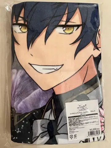 앙스타 스타포니 빅 비주얼 타월 준