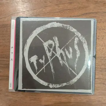 티푸스 TYPHUS 거즈 GAUZE PUNK hardcore