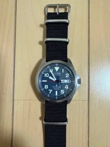 시티즌 프로마스터 랜드 AT6080-53L