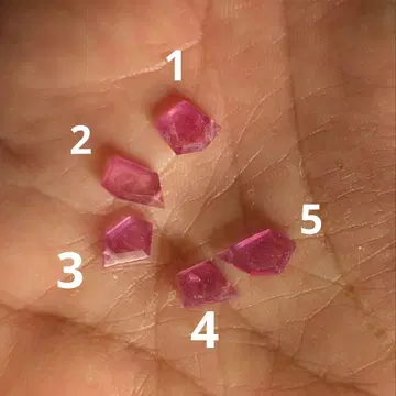 참고 페이지 2입니다