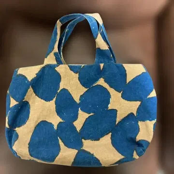 미나 페르호넨 파니니 백 slowdance 소