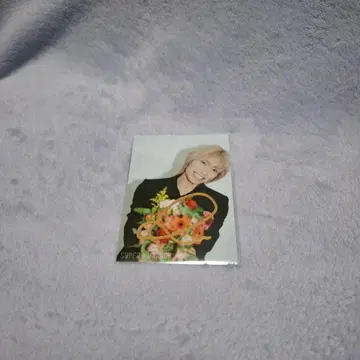 스파드라 시바사키 라쿠 미니 사진 (사인)