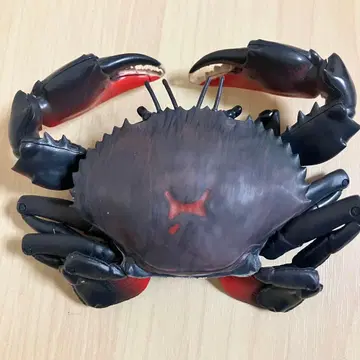 톱사슴벌레 생물대도감 게