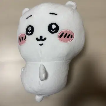 오가와 사카이 MISIA 착용