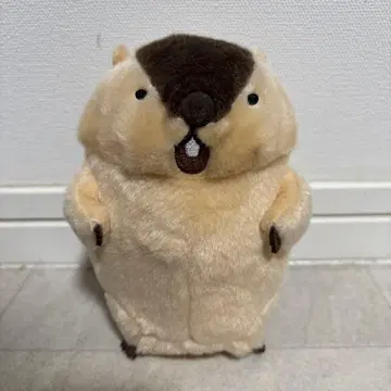 마모트의 마토토토 봉제 인형 아타로