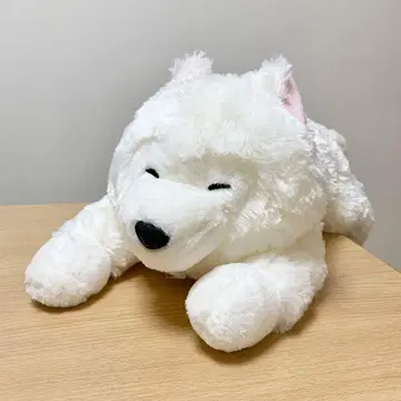 미사용 새상품 흐물흐물 사모예드군 누워있는 울트라 BIG 봉제 인형