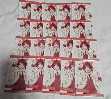 리이누 군 브로마이드 20장 세트