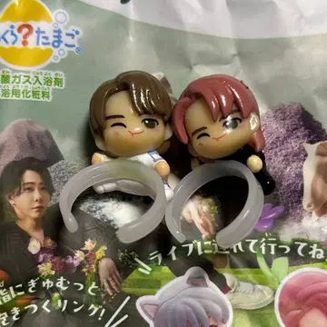 미세스 빗쿠라타마고 와카이 히로토 시크릿 세트