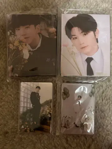 호시우지 FML CARAT반