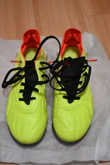 코파 센스.1 TF 25.5cm