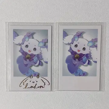 룬룬 데뷔 폴라로이드