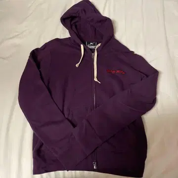 BUMP OF CHICKEN GOLD GLIDER TOUR 후드티