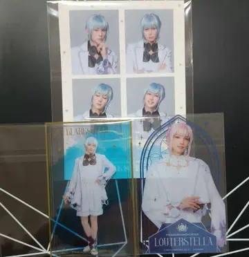 플라뮤 클락스 스텔라 루타르 스텔라