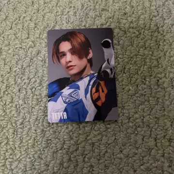 ONE N' ONLY TETTA 트레이딩 카드 AMAZONIA