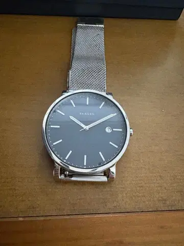 SKAGEN 아날로그 쿼츠 손목시계 그레이
