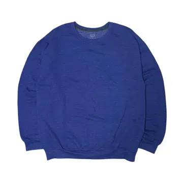 프룻 오브 더 룸 맨투맨 블루 L