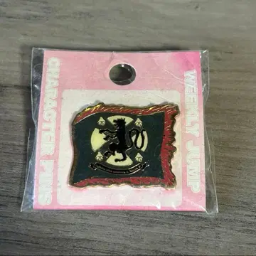 가정교사 히트맨 REBORN! 핀즈 바리아 반지 깃발 반지 프랑