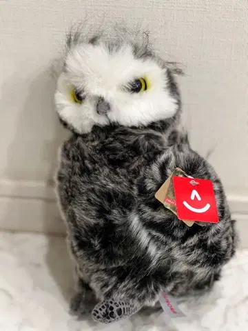 AURORA 올빼미 봉제 인형