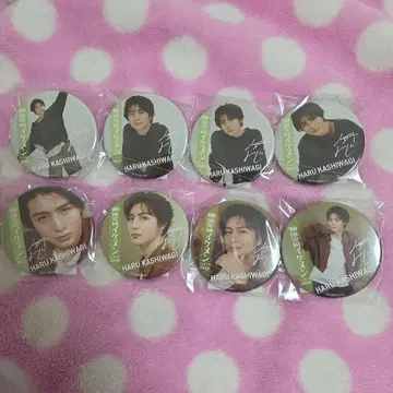 카시와기 유우 ViVi 국보급 미남 랭킹