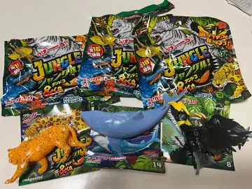 정글앤드코 &co. 재규어 오오사이초 오오메지로자메