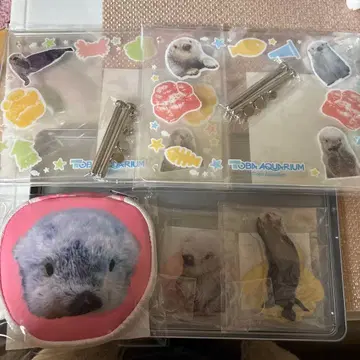 도바 수족관 랏코 복권 메이 키라