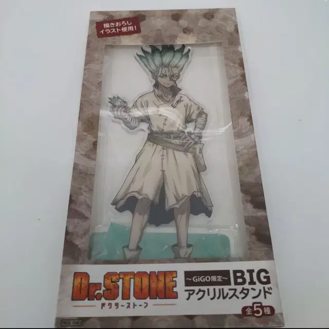 닥터스톤 BIG 아크릴 스탠드 gigo 한정 기고 이시가미 센쿠 피규어