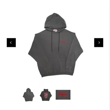 마키시마 테루 PALEDA 파레다 후드티