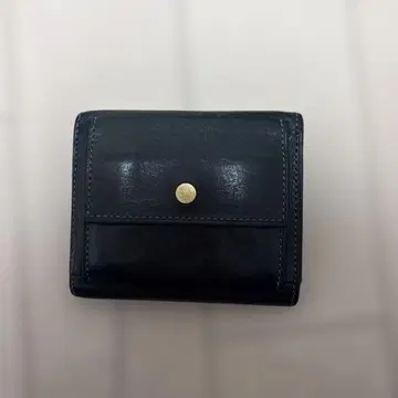 lemma 렌마 Recta 레 페트롤리오