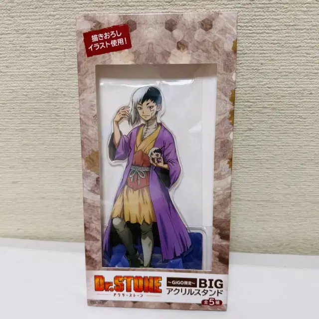 닥터스톤 GiGO 한정 아크릴 스탠드 아사기리 겐 피규어 인형 누이