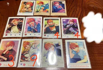 아케호시 스바루 파샤코레