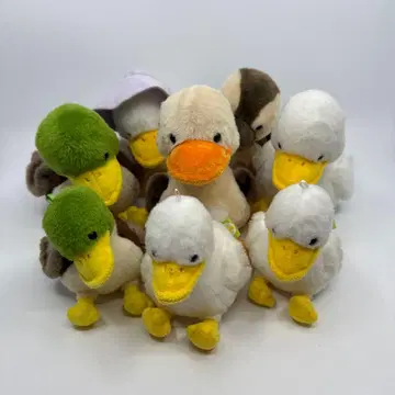 페타페타 오리 부대 모피