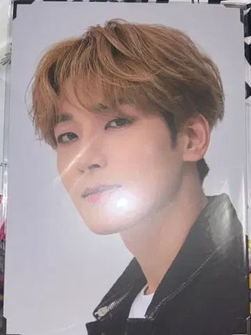 SEVENTEEN WONWOO 원우 CARAT LAND 프리미엄 사진