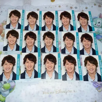 이와모토 히카루 데이터 카드 데타카 2013