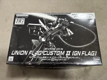 HG 유니온 플래그 커스텀 II [GN FLAG]