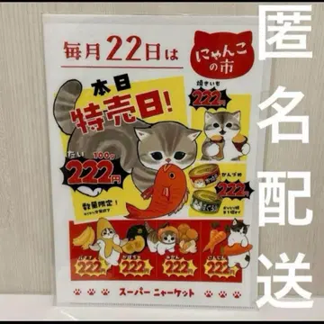 mofusand 슈퍼냥켓 클리어 파일 모프 샌드