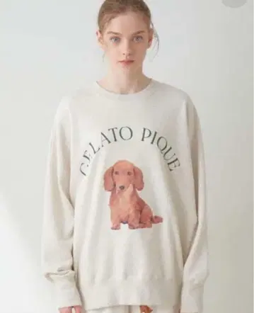 GELATOPIQUE 젤라또피케 닥스훈트 맨투맨 트레이닝복