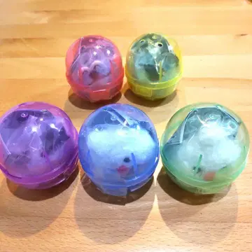 퍼펫 순순 앞머리 클립 가챠가챠 5종 세트 완전 미개봉