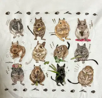 [ 새상품 ] 데구 긴팔 T셔츠 여성용 M~L 남성용 S 롱 슬리브