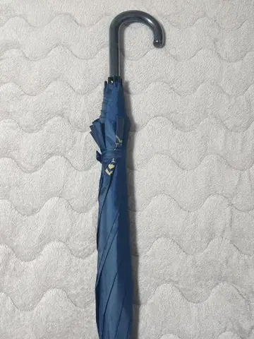 와이즈 호테페토 콜라보룸 우산