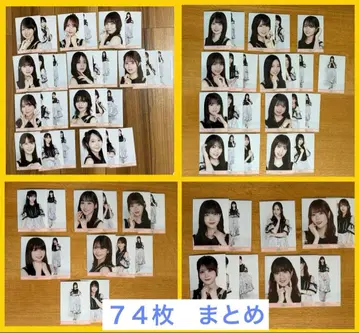 [ 덤 포함 ] 노기자카46 samenumbers 모음 총 74장