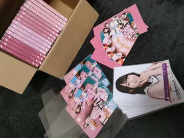 비리야니 초회 한정판 봉입 브로마이드 기타 세트