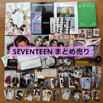 SEVENTEEN 트레이딩 카드 굿즈 묶음 판매 즉시 구매